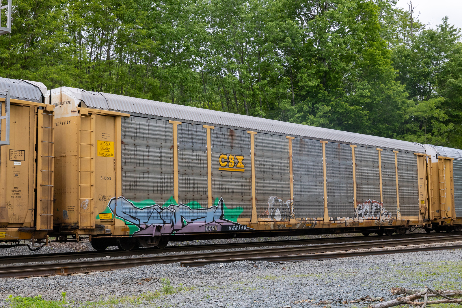 TTGX 988149