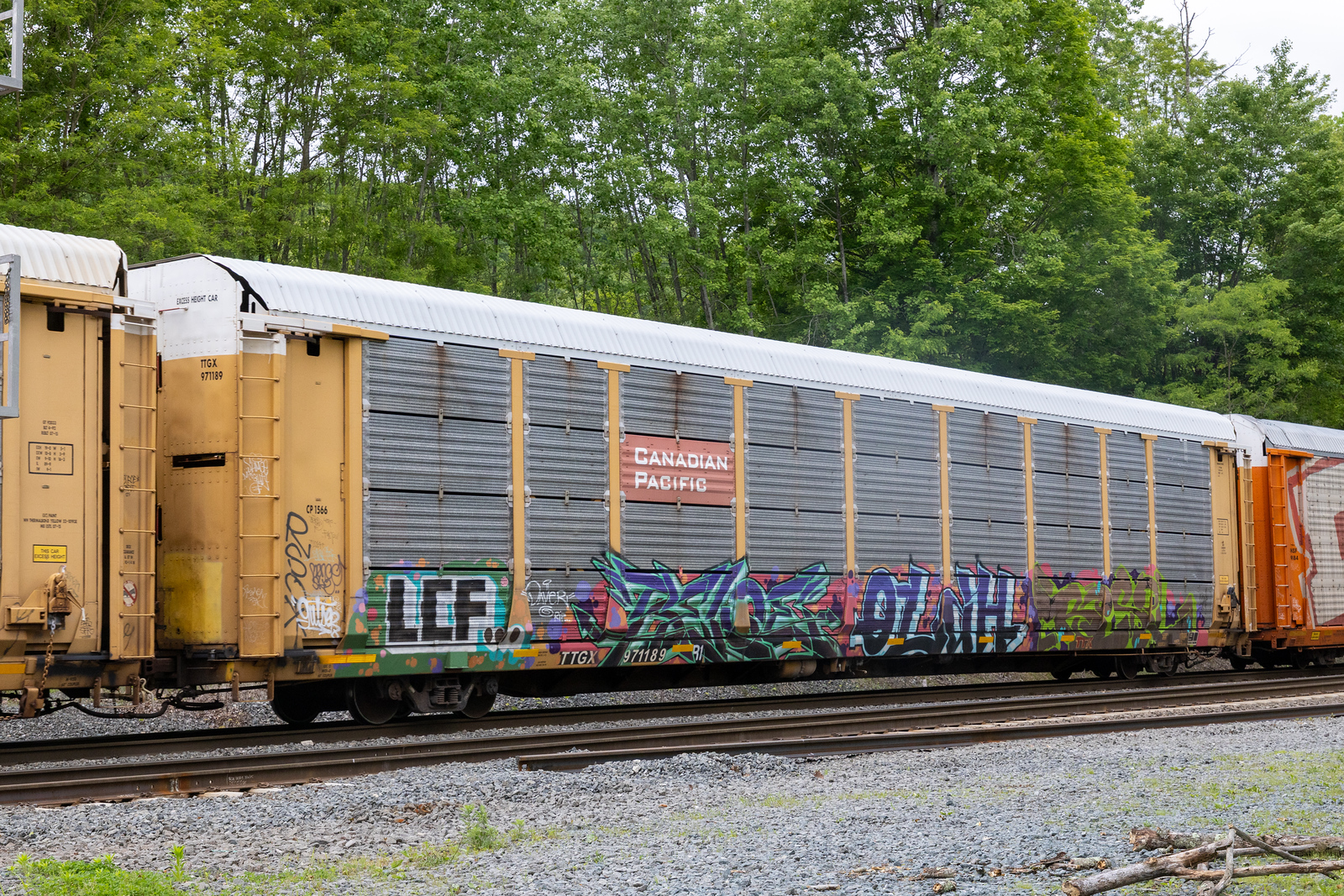 TTGX 971189