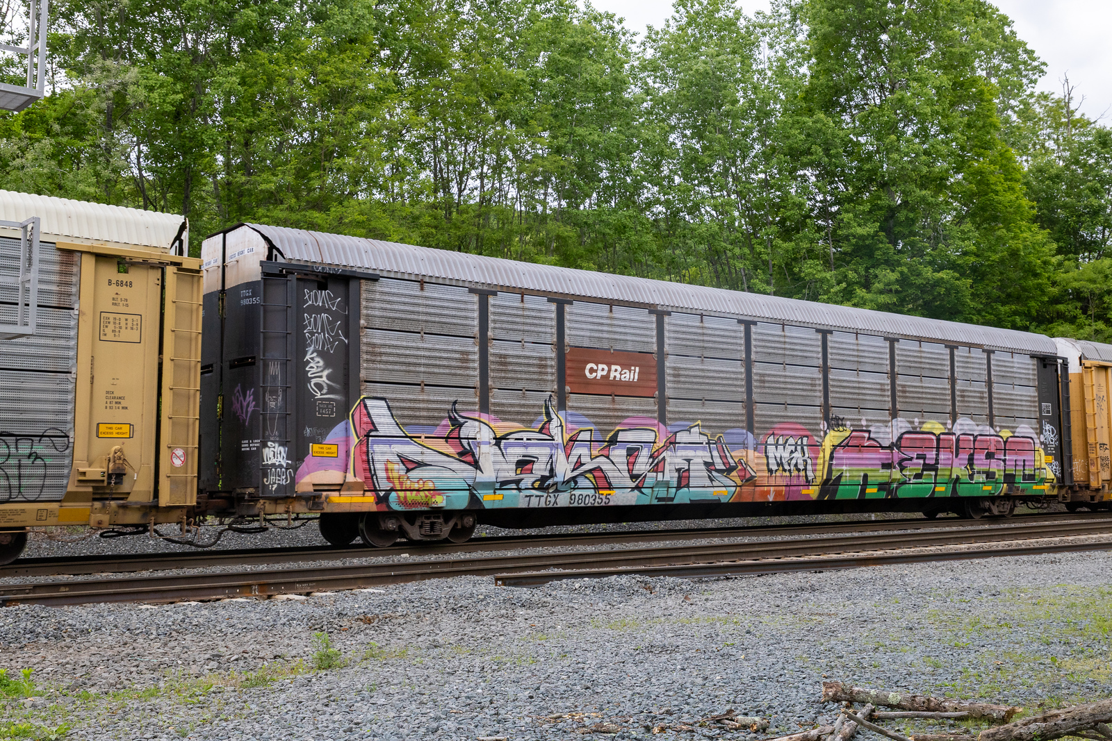 TTGX 980355