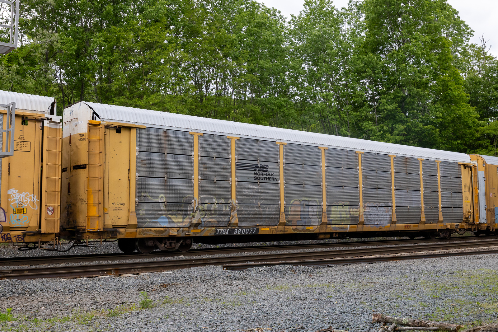 TTGX 980077