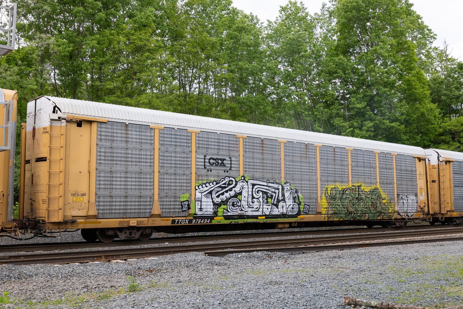 TTGX 978494