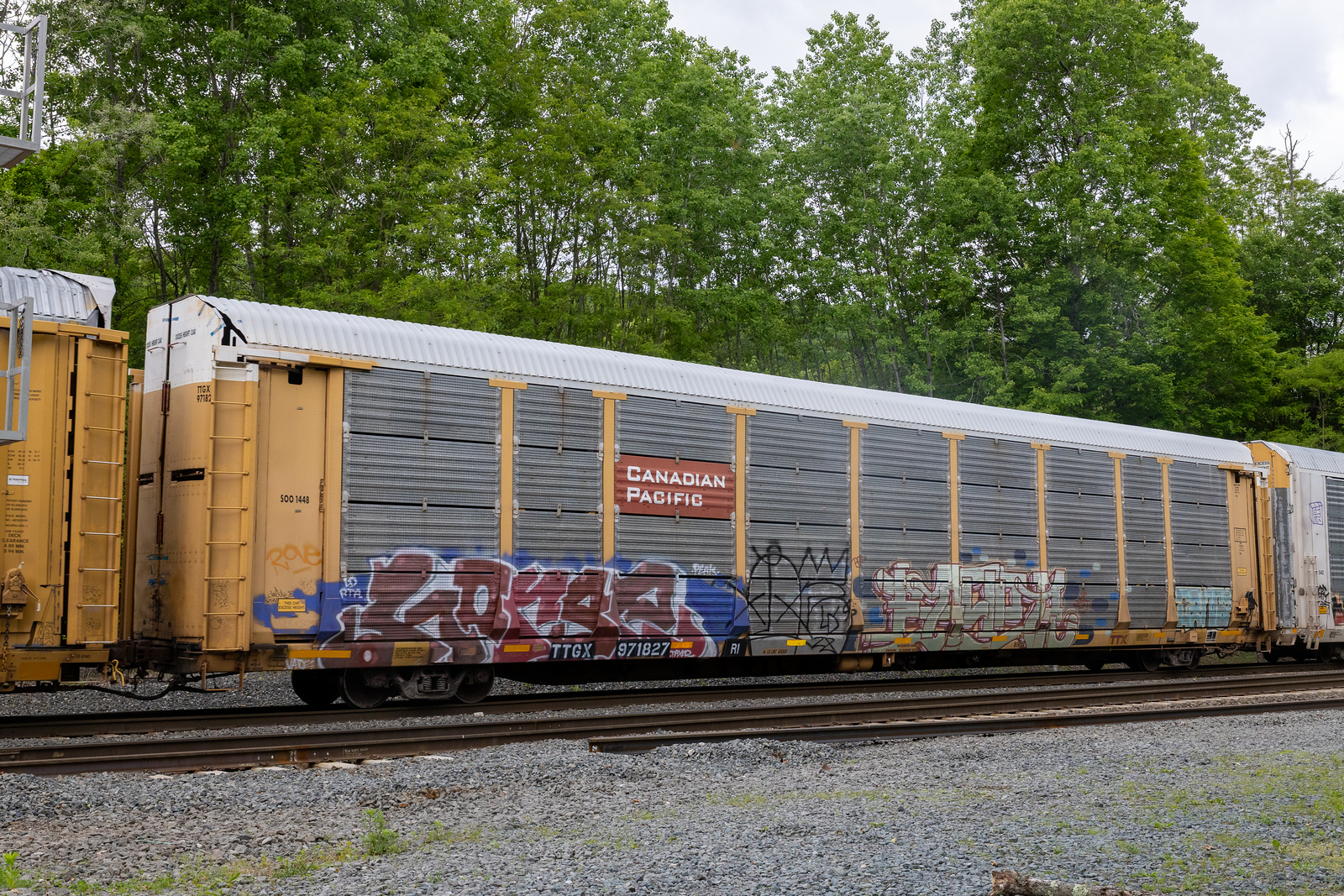 TTGX 971827