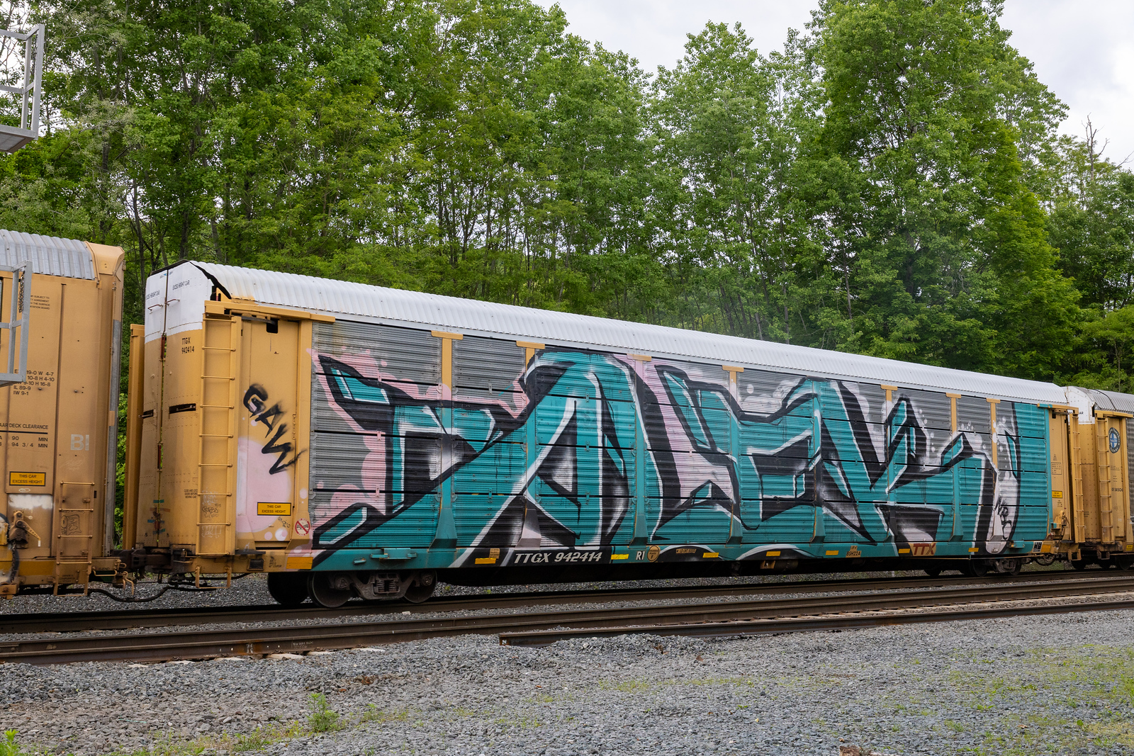 TTGX 942414