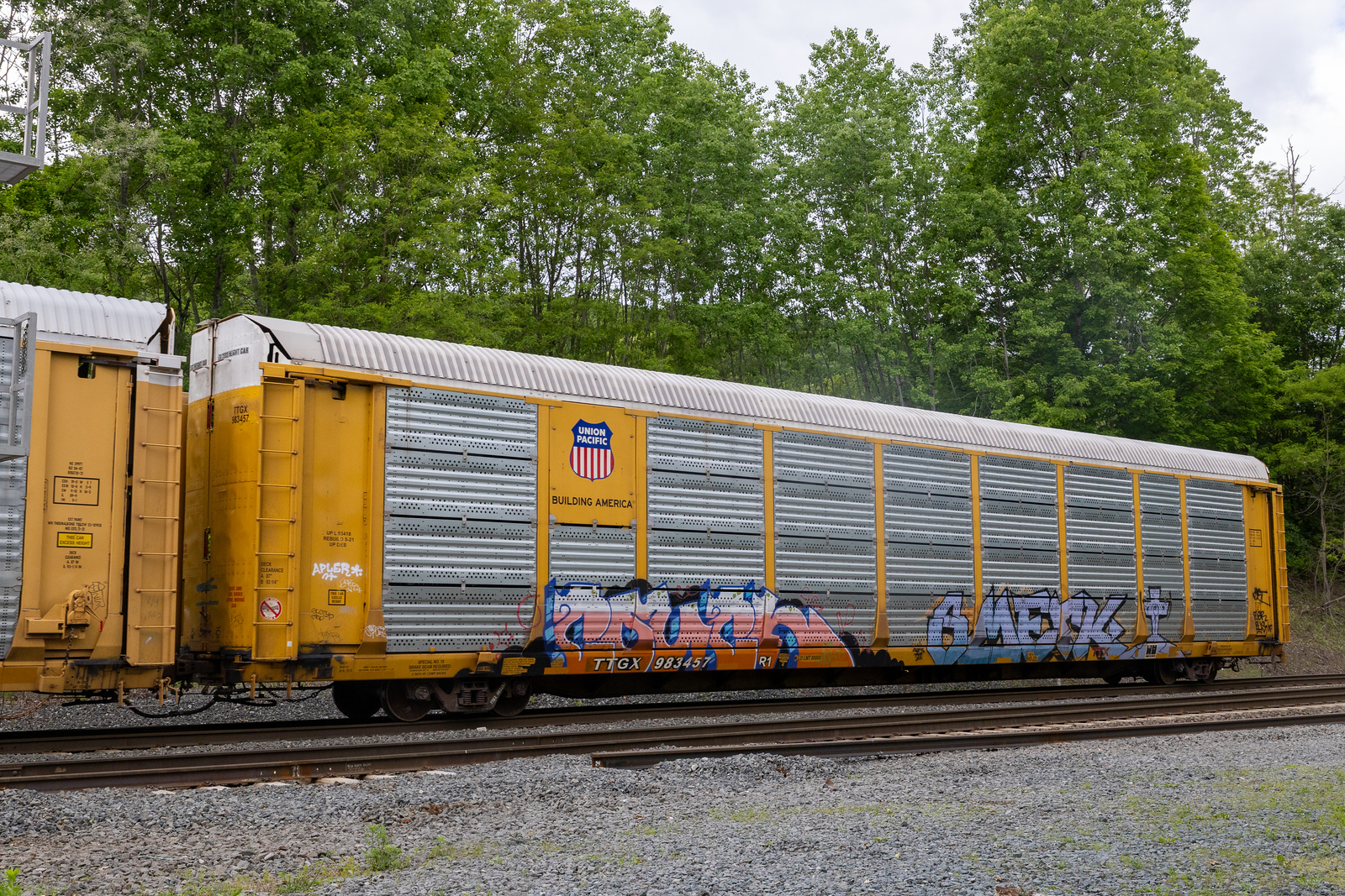 TTGX 983457