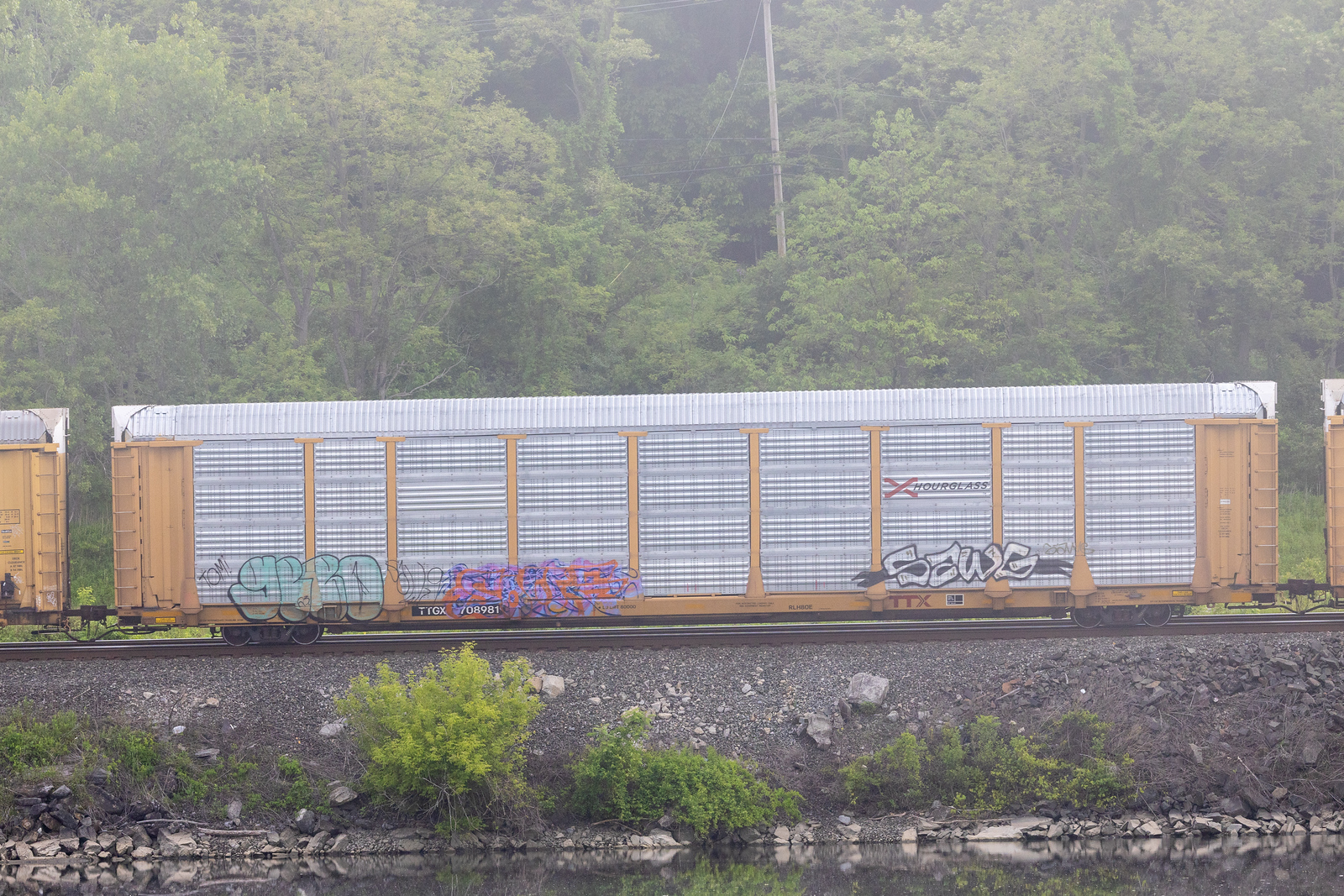 TTGX 708981
