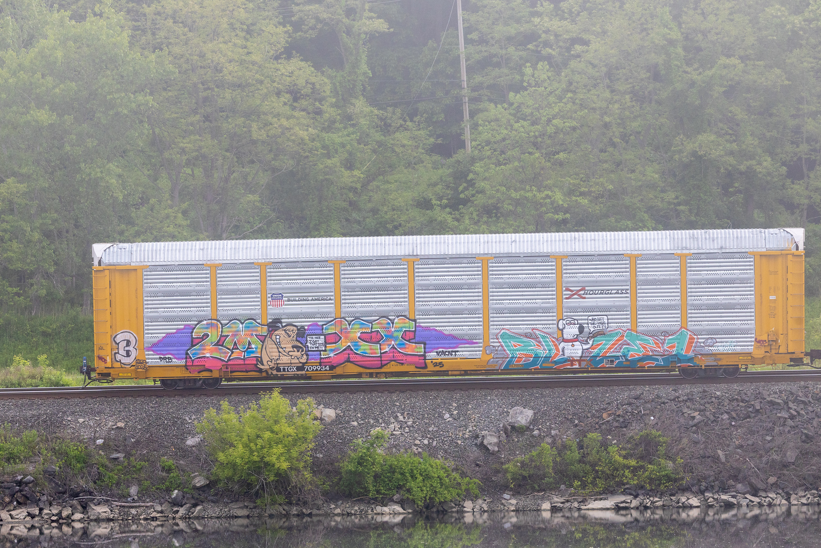 TTGX 709934