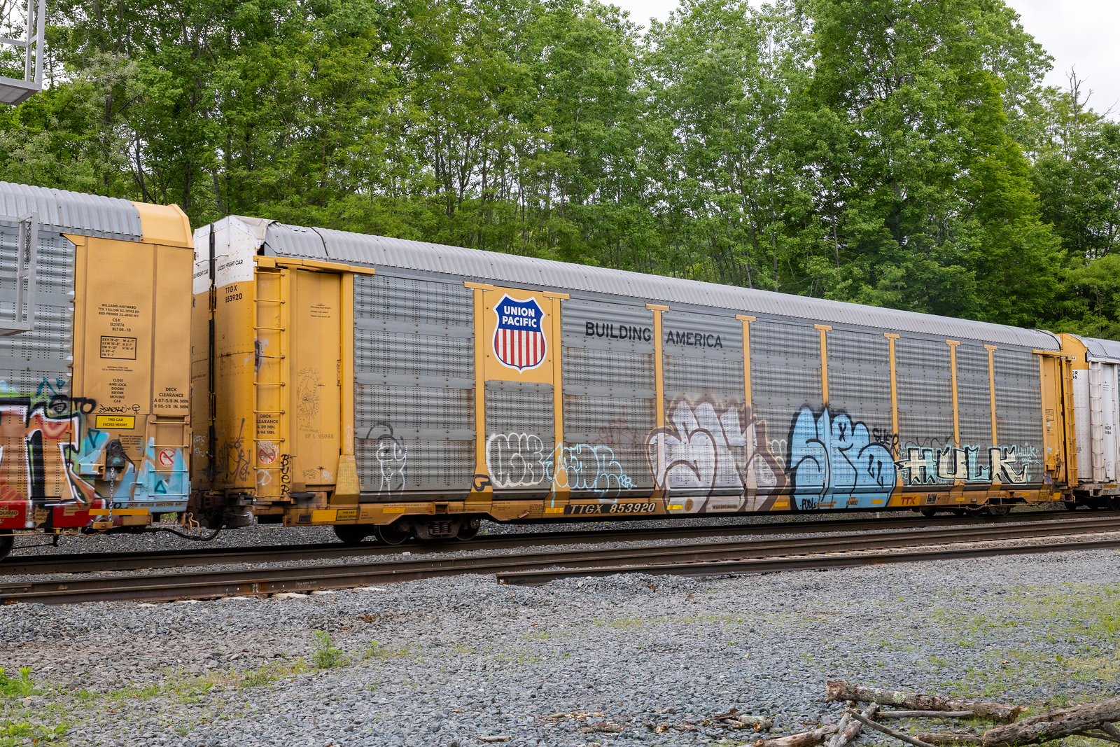 TTGX 853920