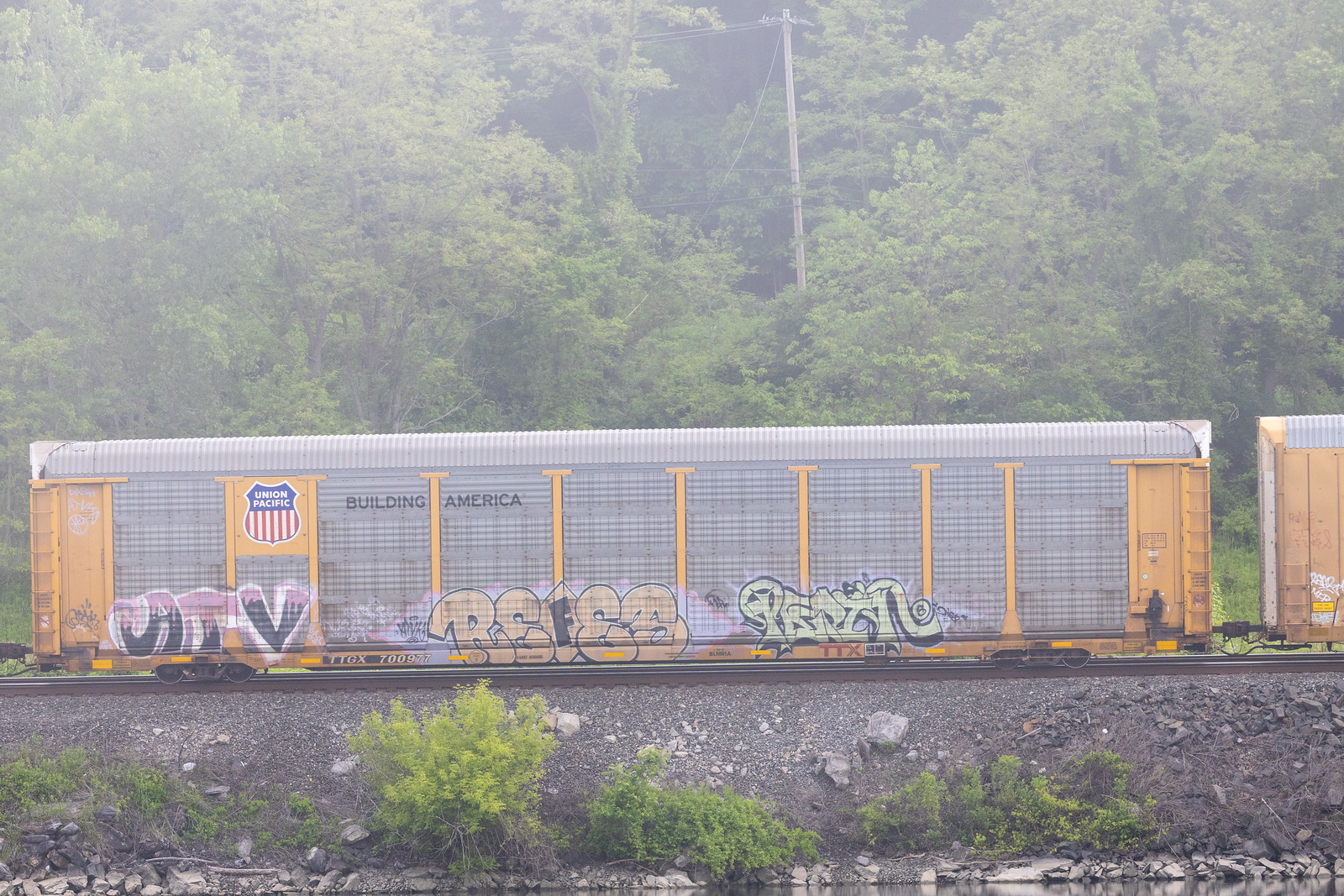 TTGX 700977