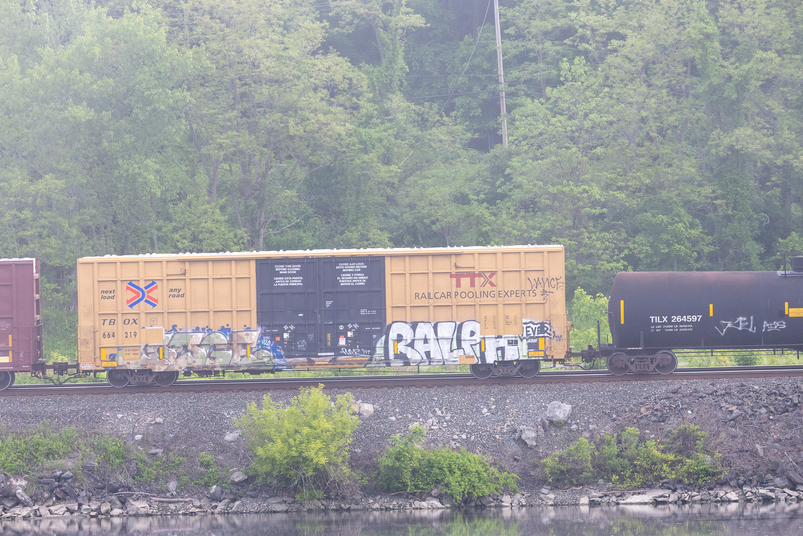 TBOX 664219