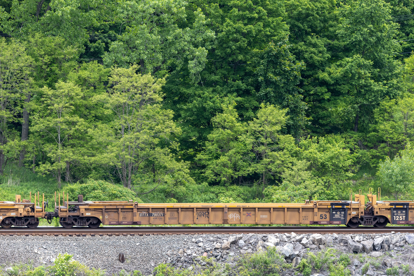 DTTX 790371A