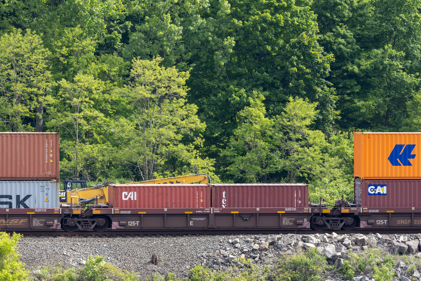 BNSF 239244E