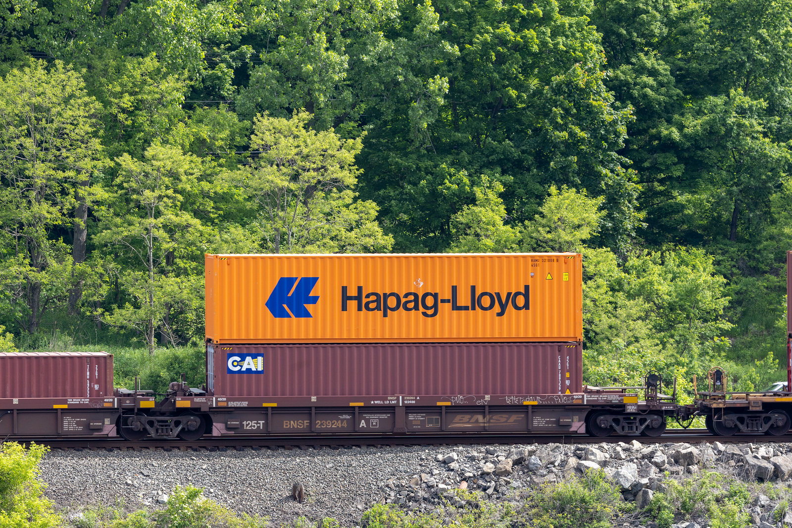 BNSF 239244A