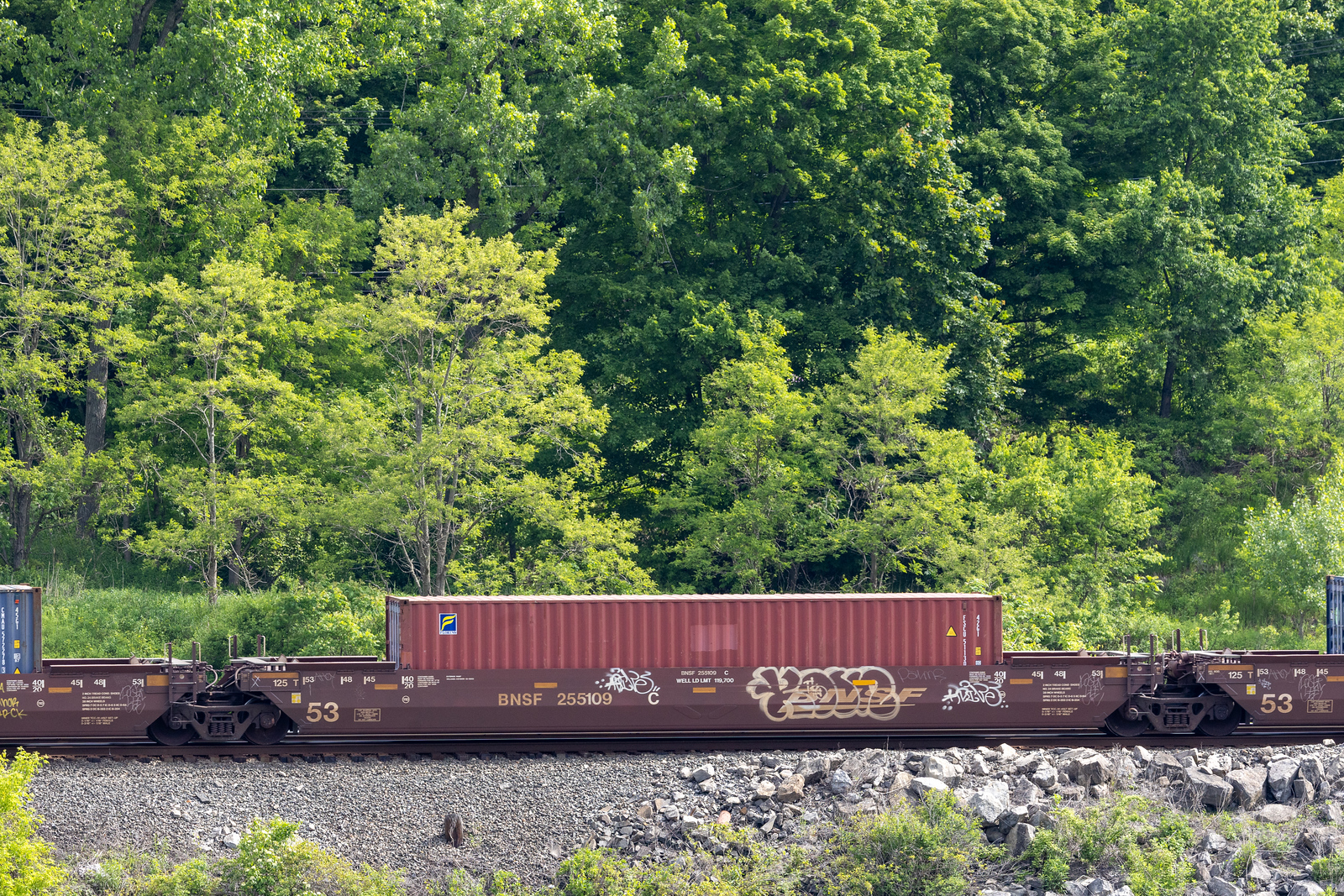 BNSF 255109C