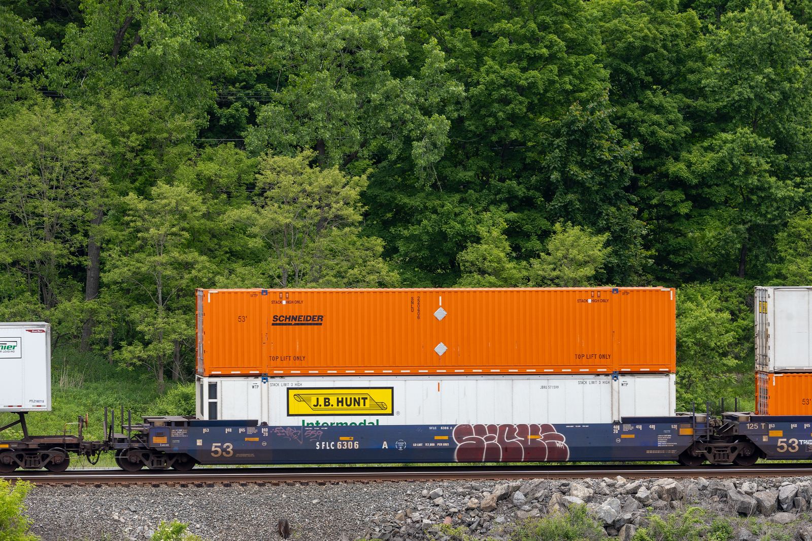 SFLC 6306A