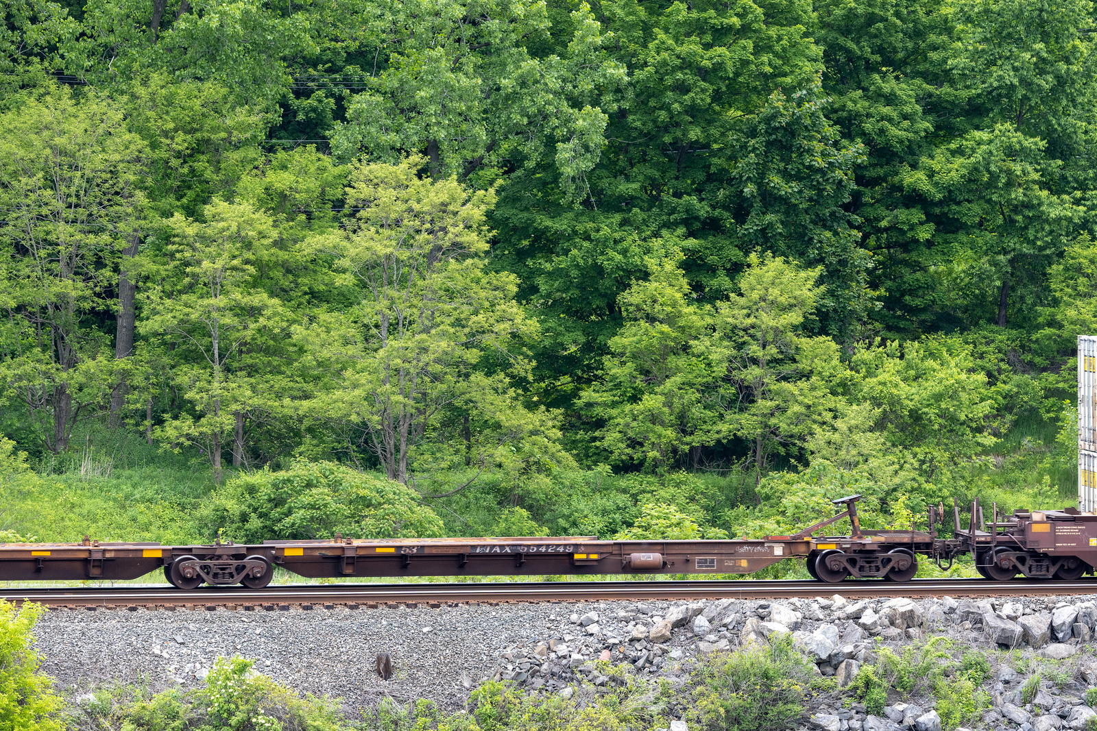 TTAX 554249A