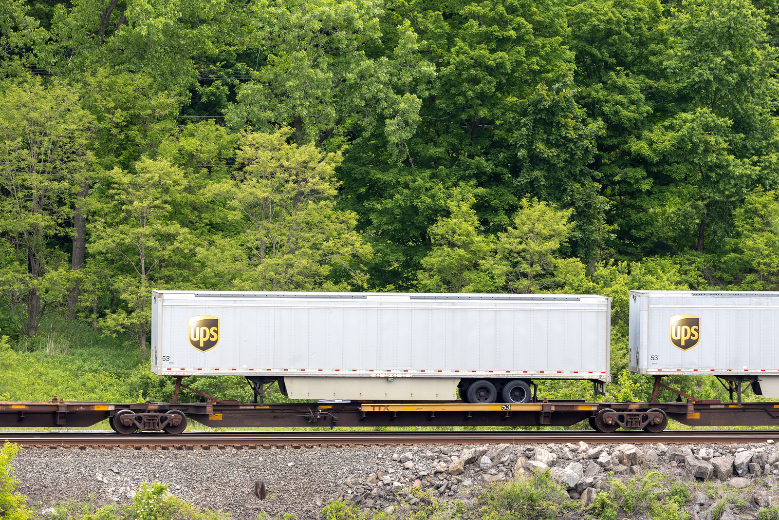 TTAX 554255D
