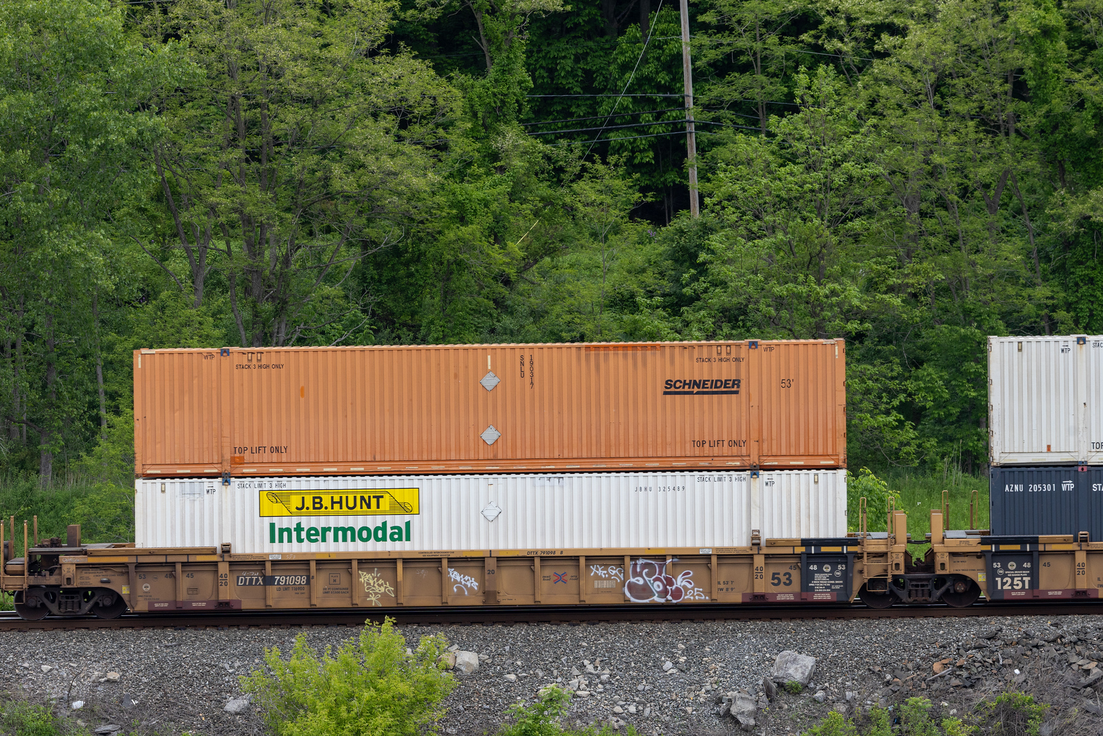 DTTX 791098B