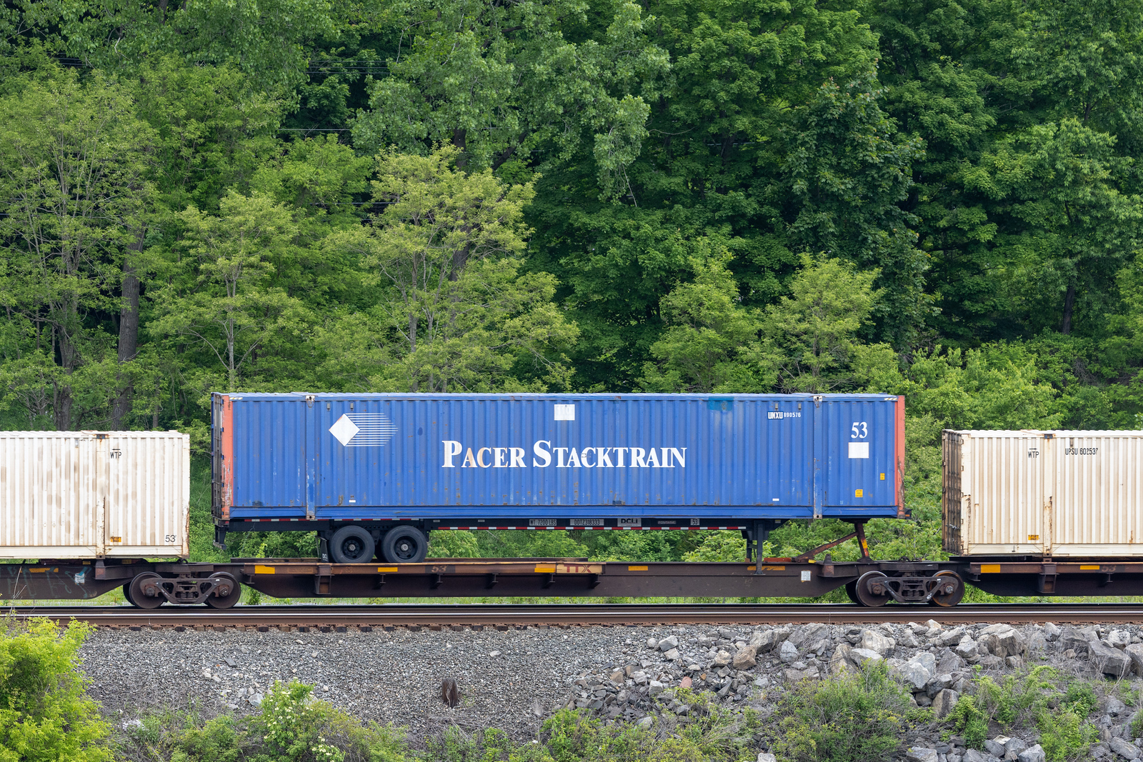 TTAX 555212C