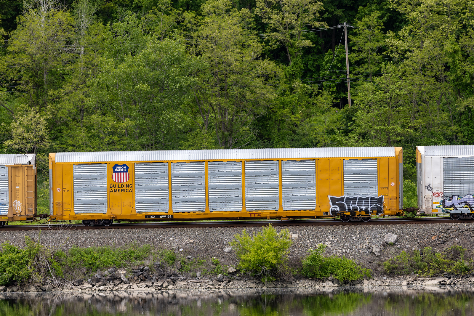 TTGX 699162