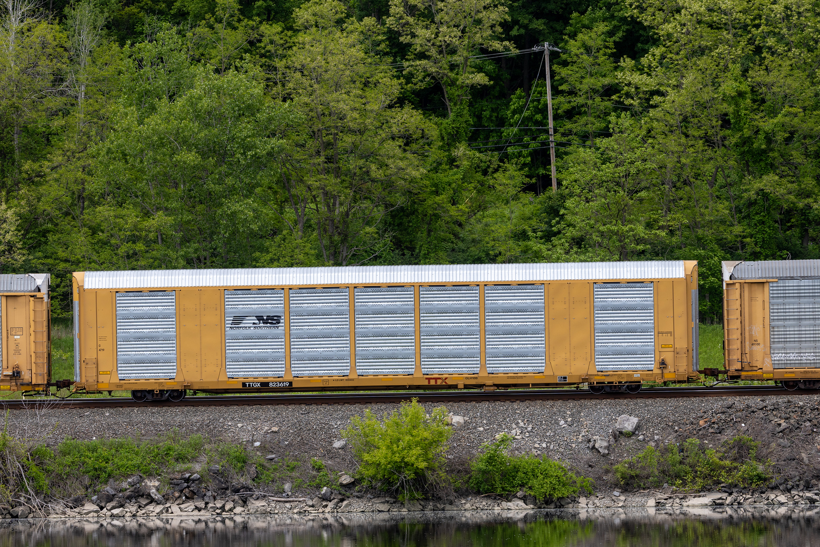 TTGX 823619