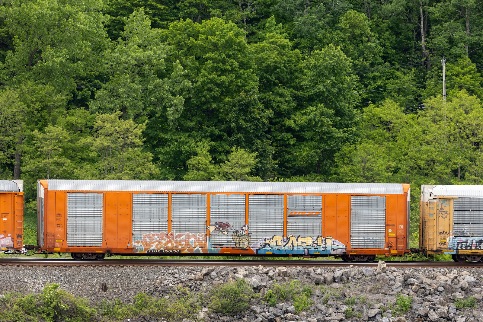 TTGX 696238