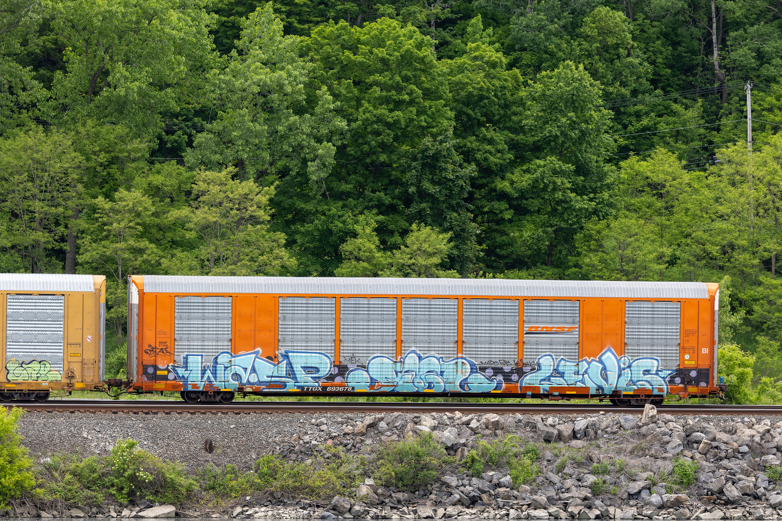 TTGX 693678