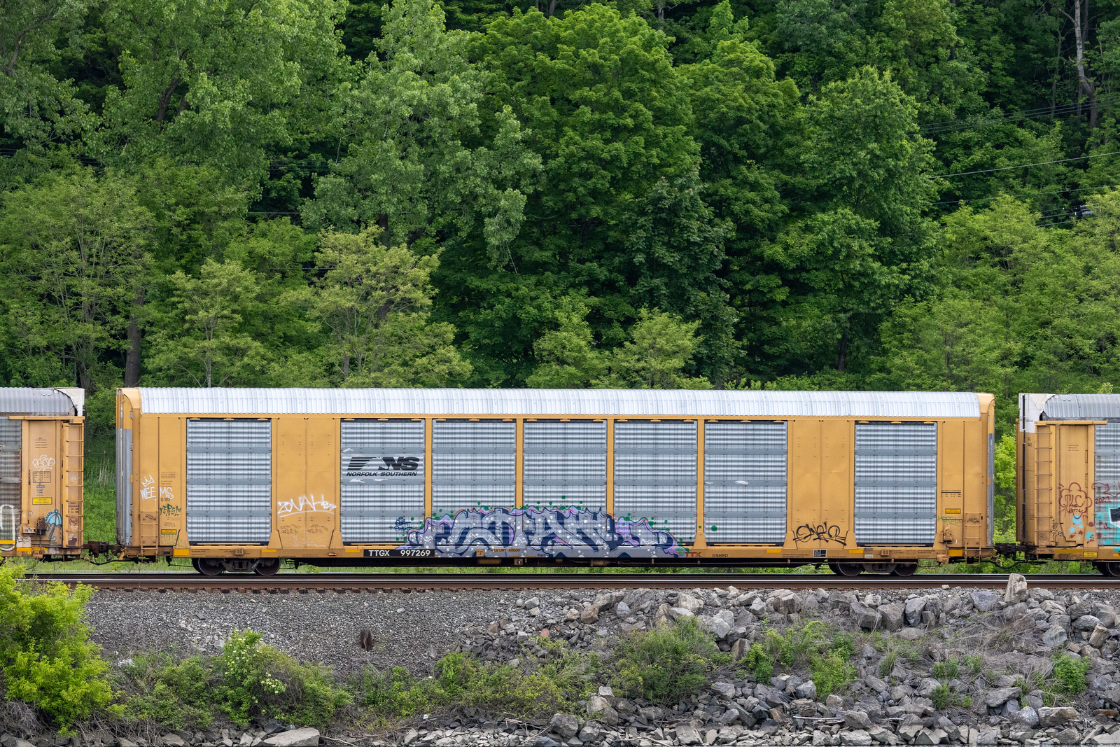 TTGX 997269