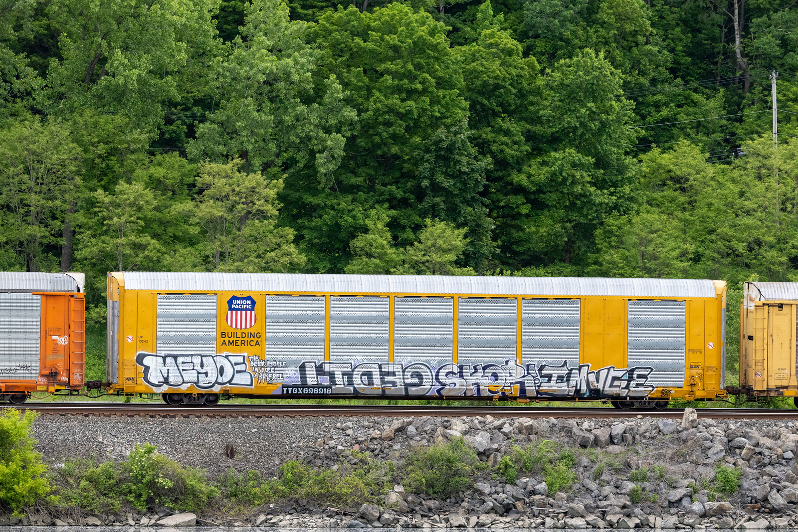 TTGX 698918