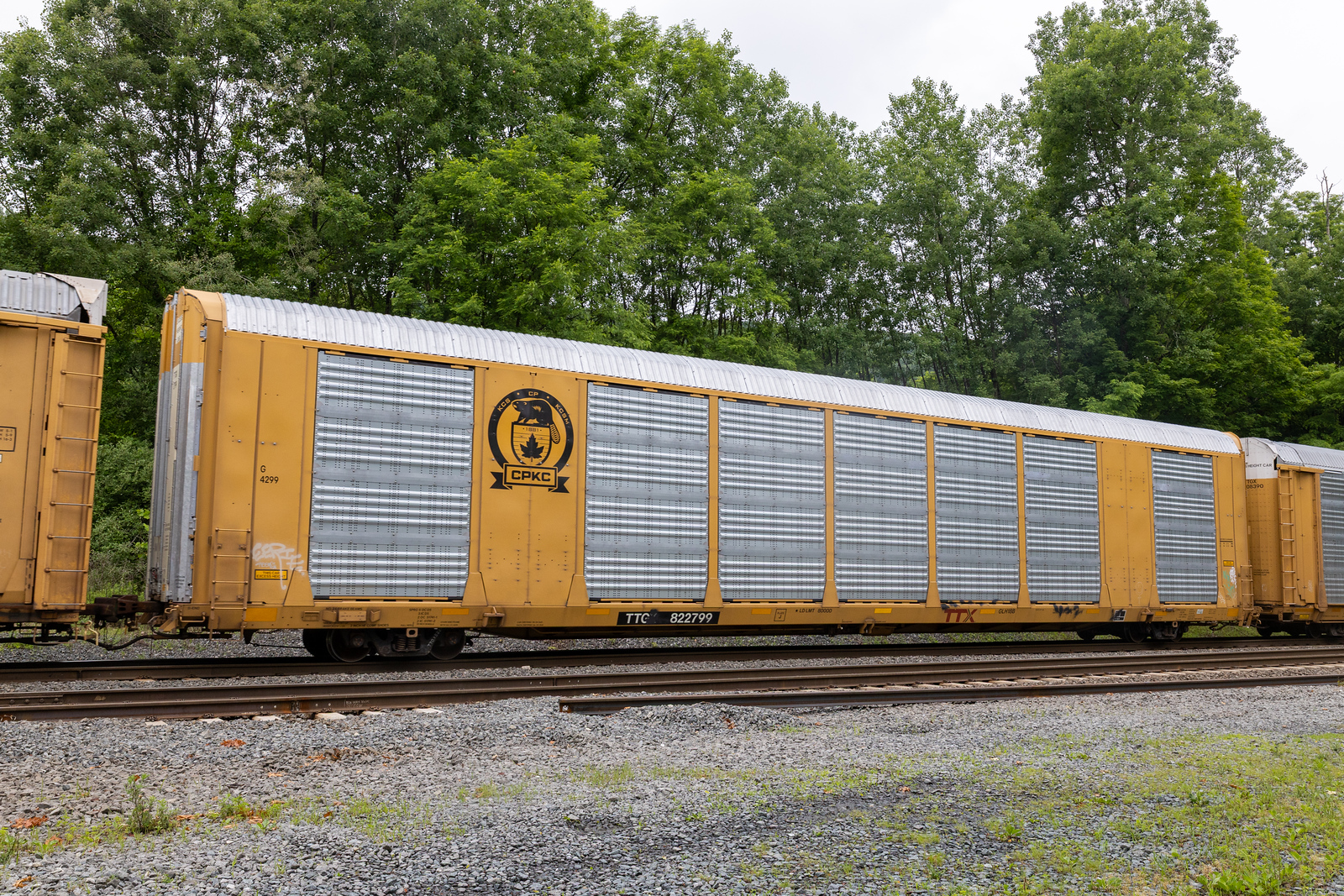 TTGX 822799