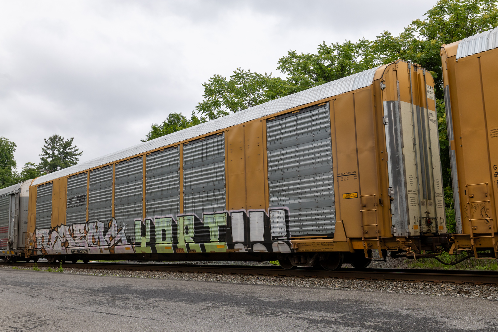 TTGX 997487