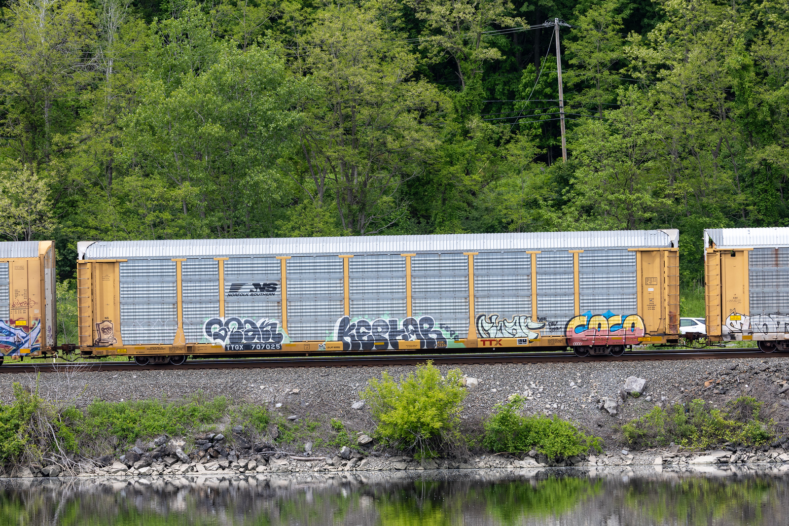 TTGX 707025