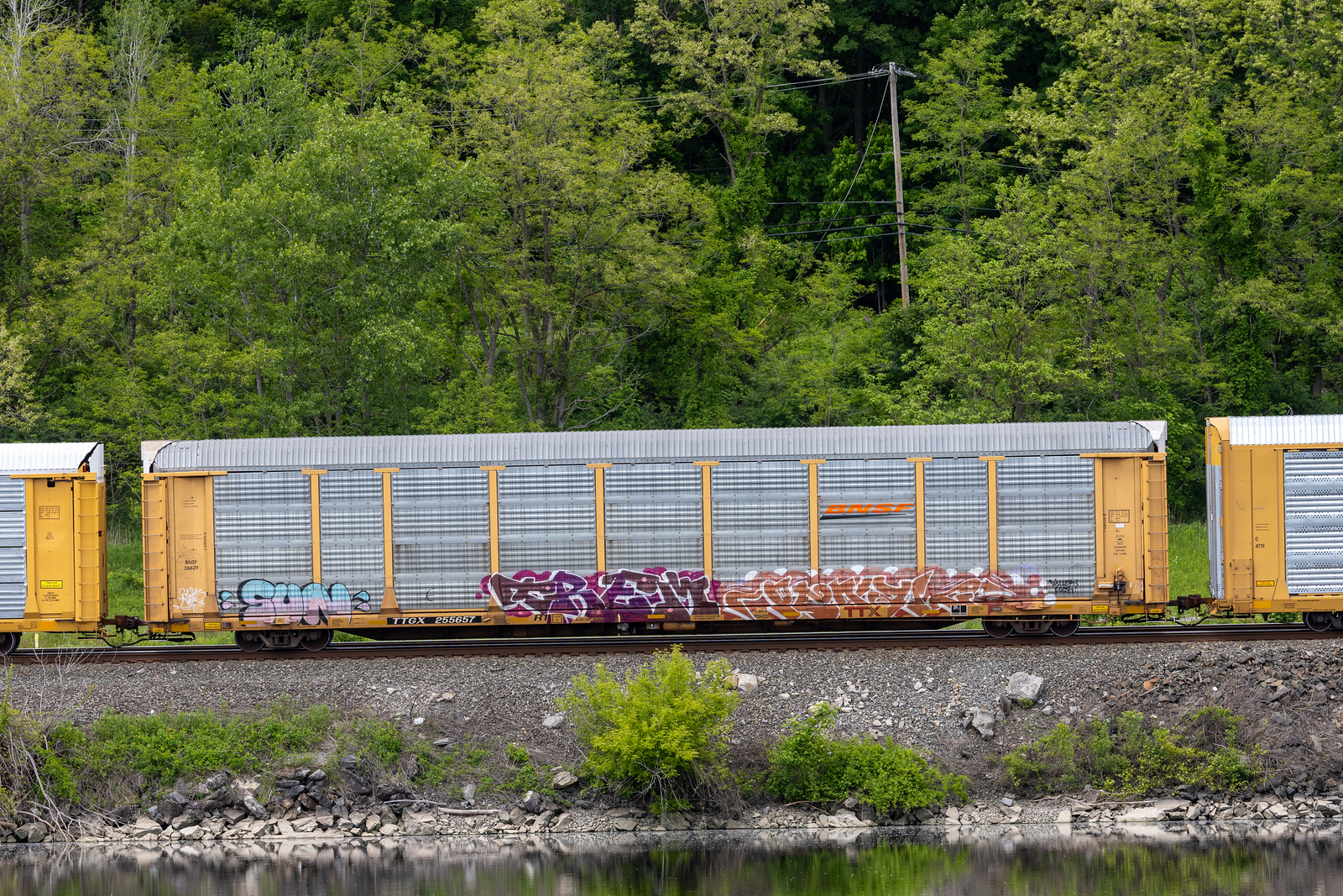 TTGX 255657