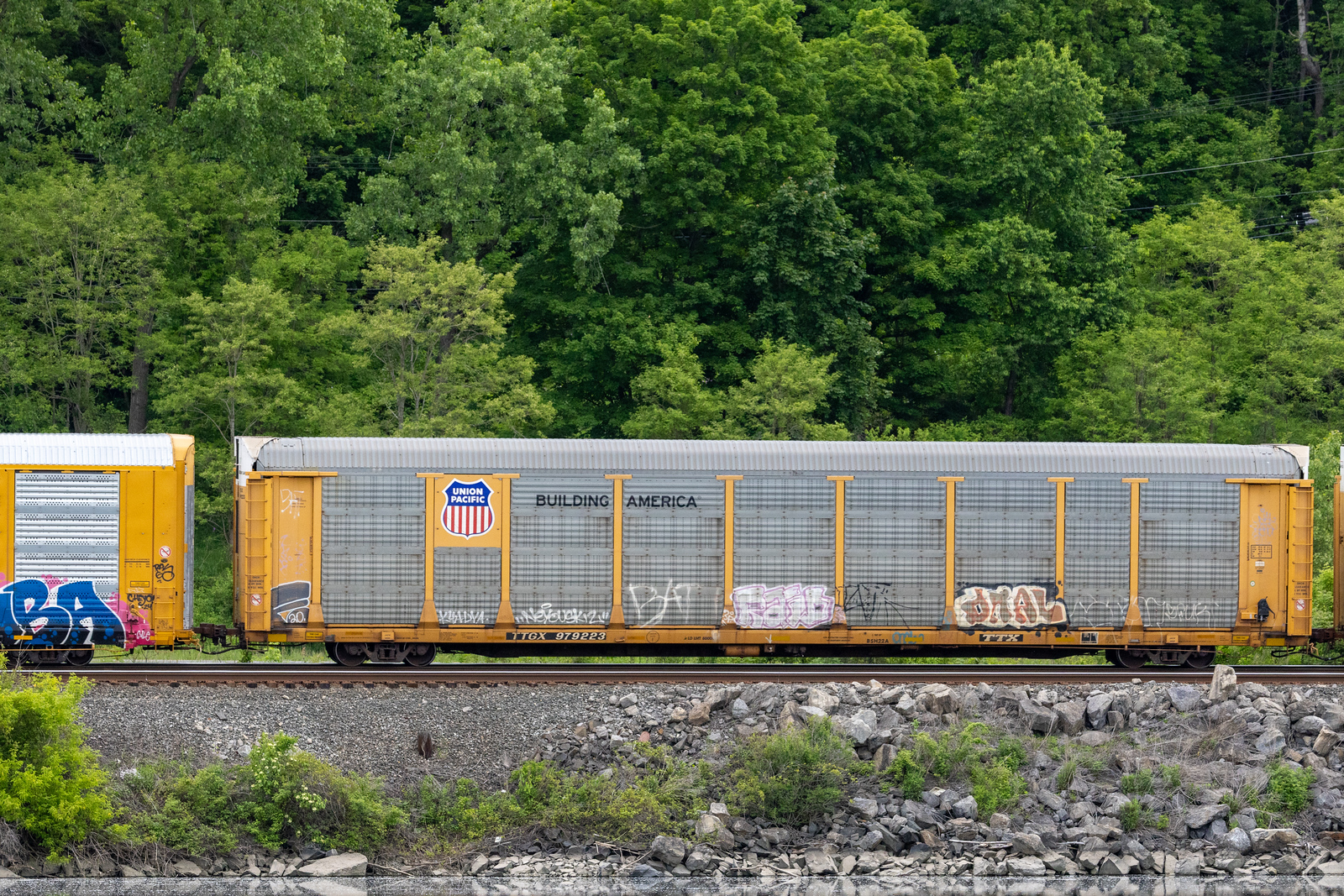 TTGX 979223