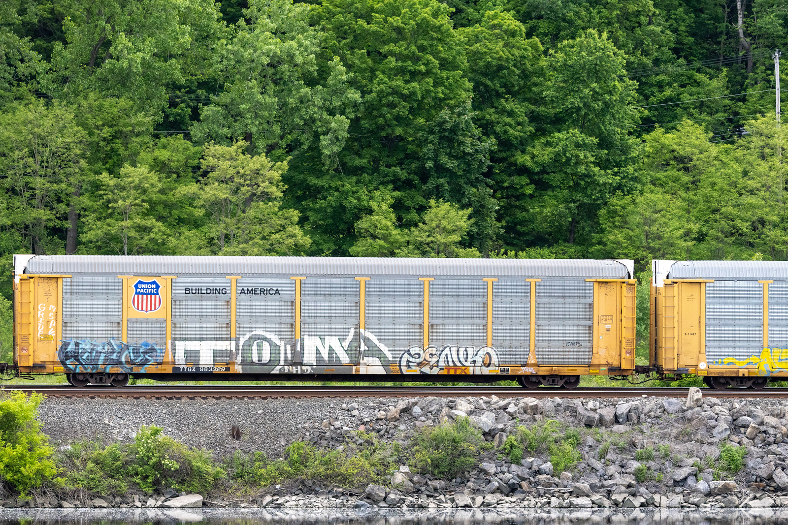 TTGX 983329