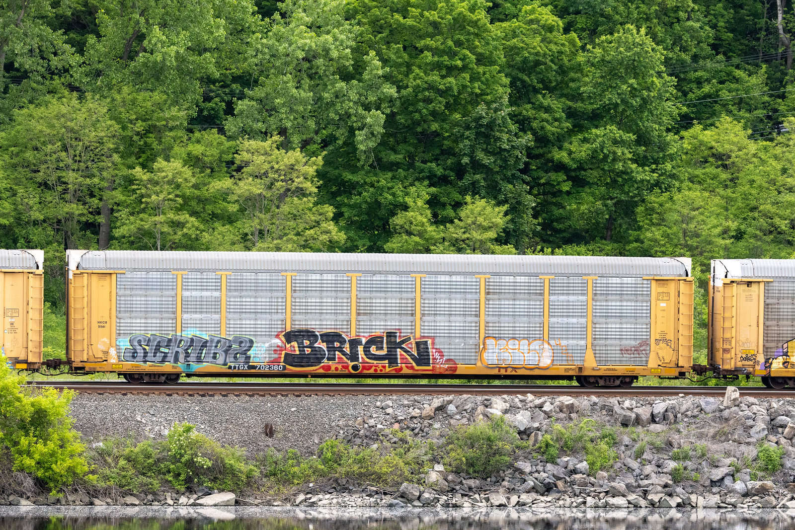 TTGX 702360
