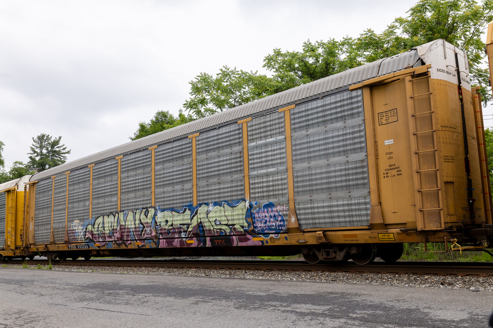 TTGX 922114