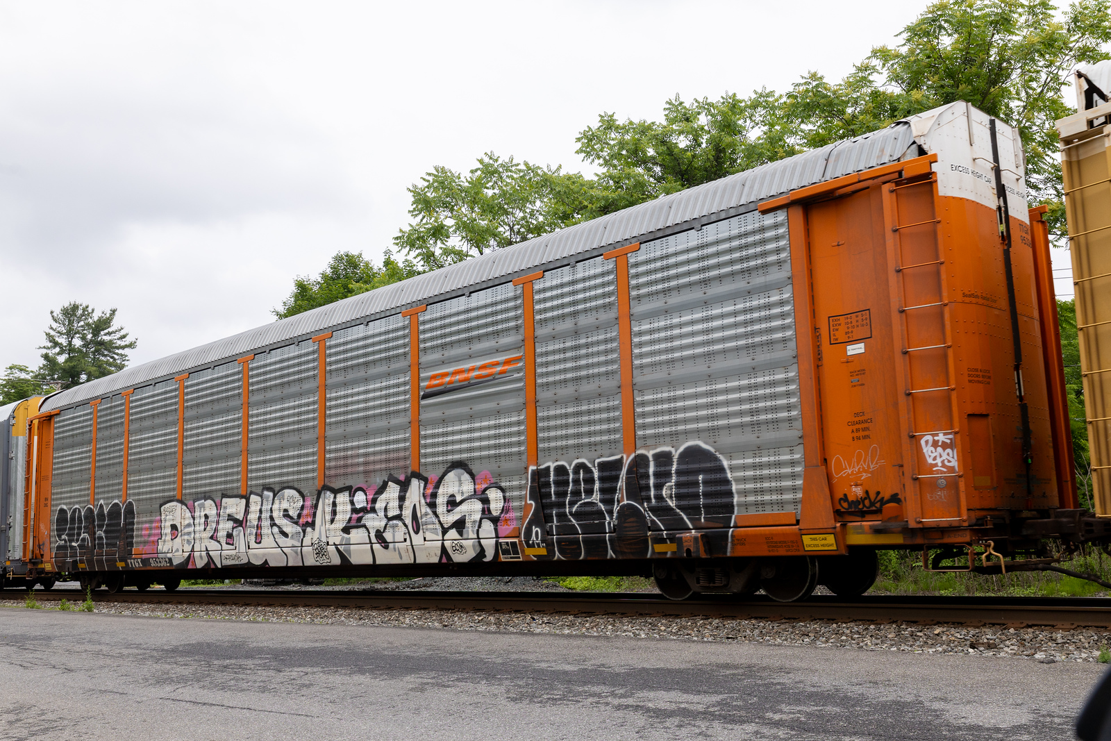 TTGX 953362