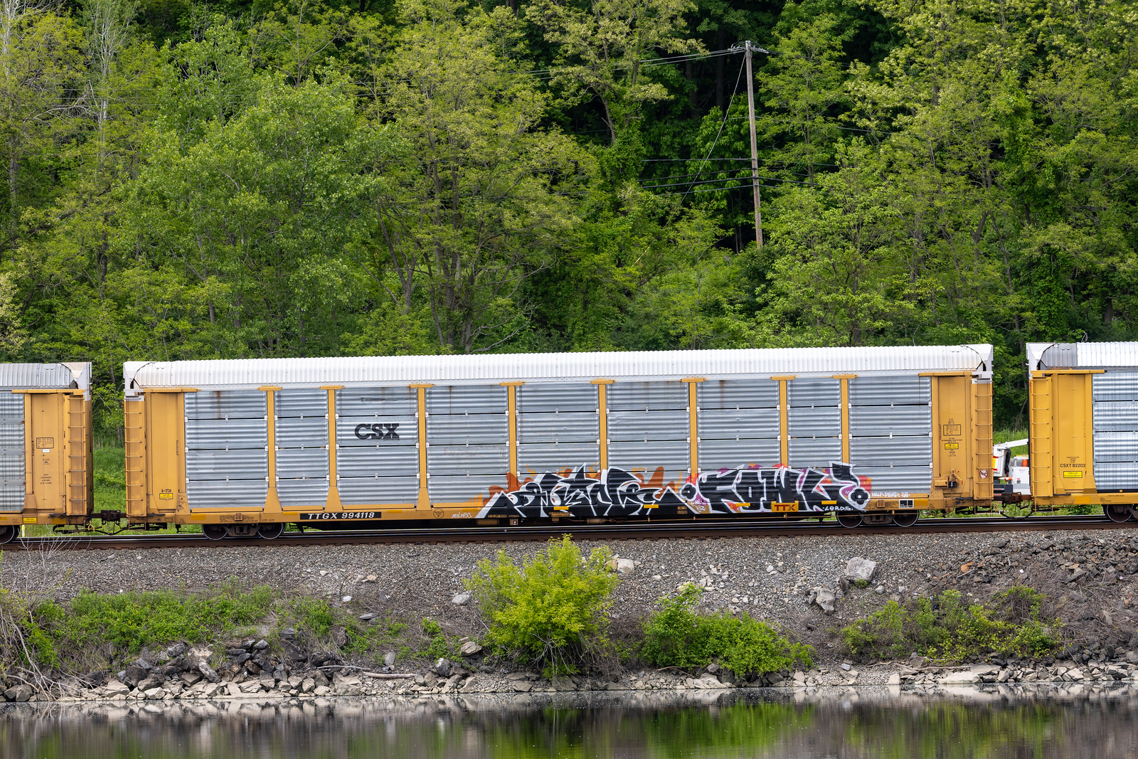 TTGX 994118