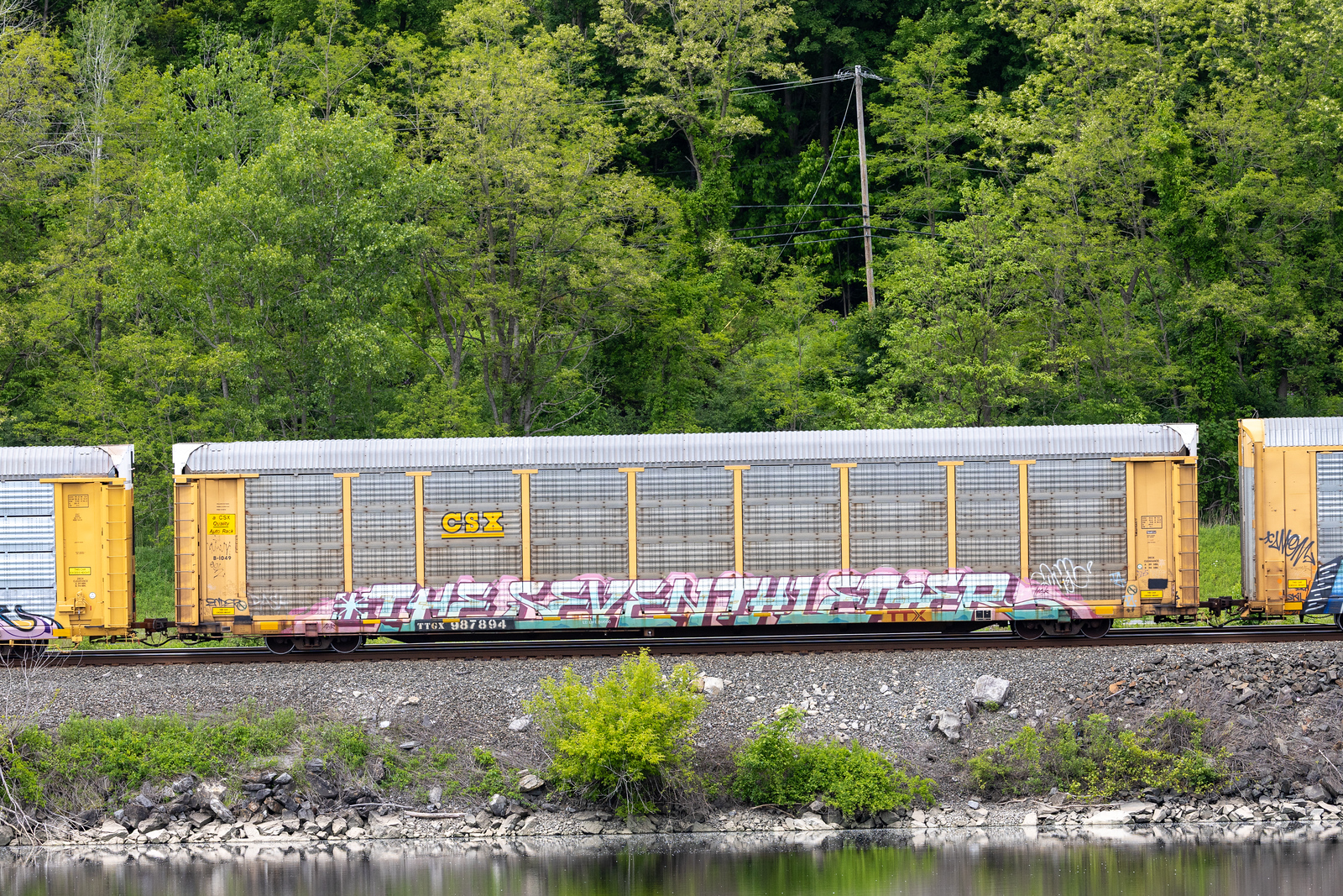TTGX 987894