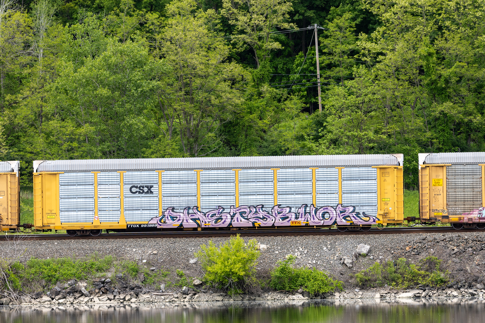 TTGX 995889