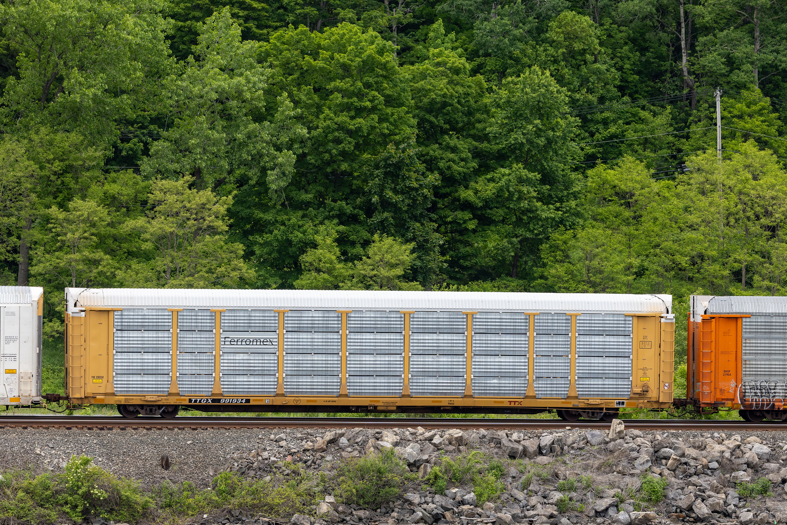 TTGX 991934