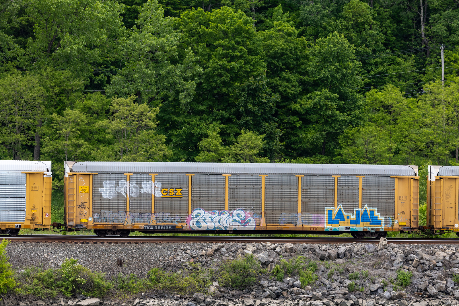 TTGX 988165