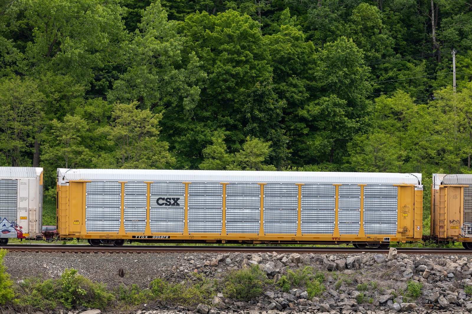 TTGX 995878