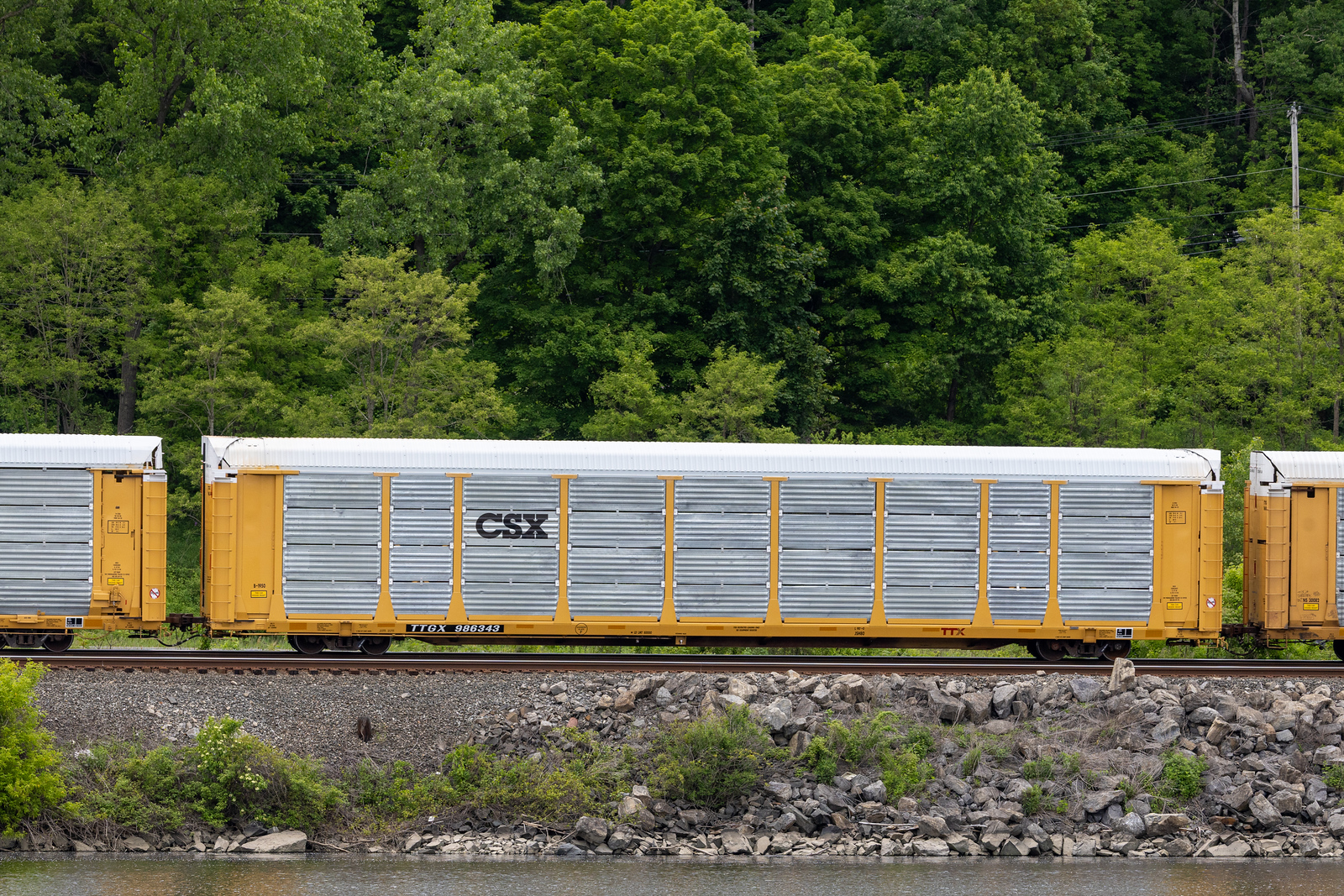 TTGX 986343