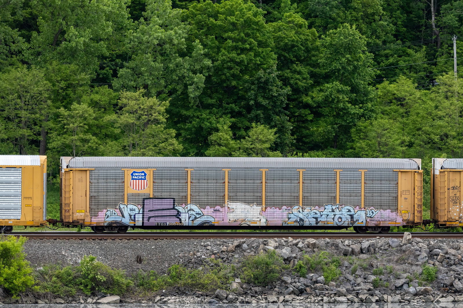TTGX 996463