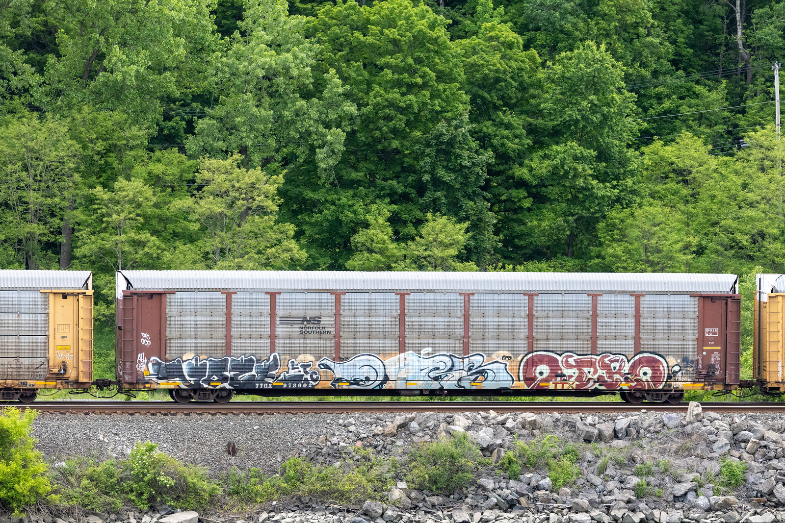 TTGX 978602