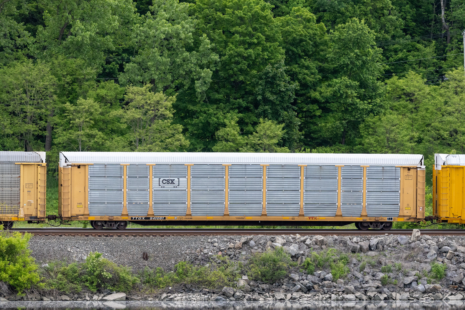 TTGX 941061