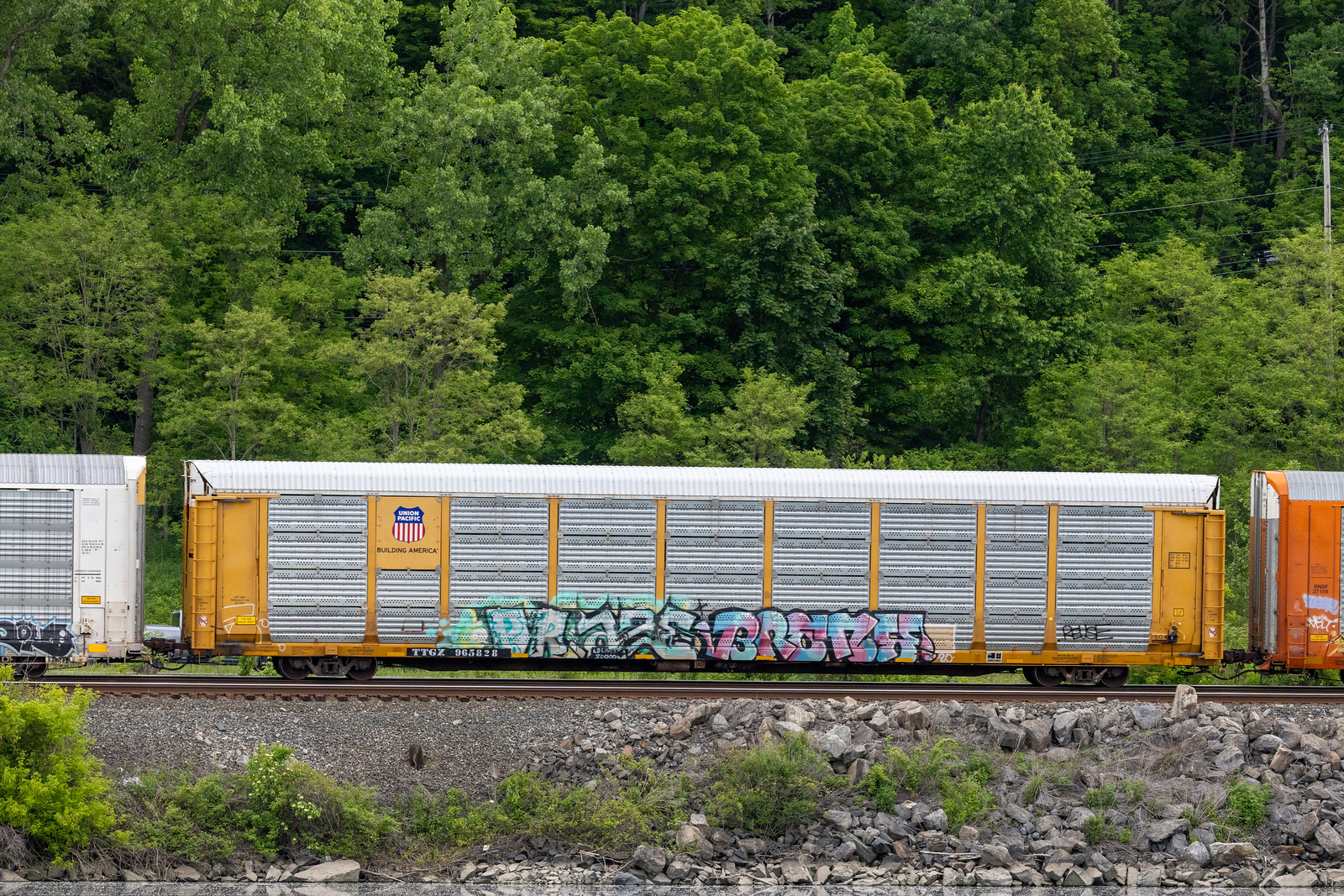 TTGX 965828