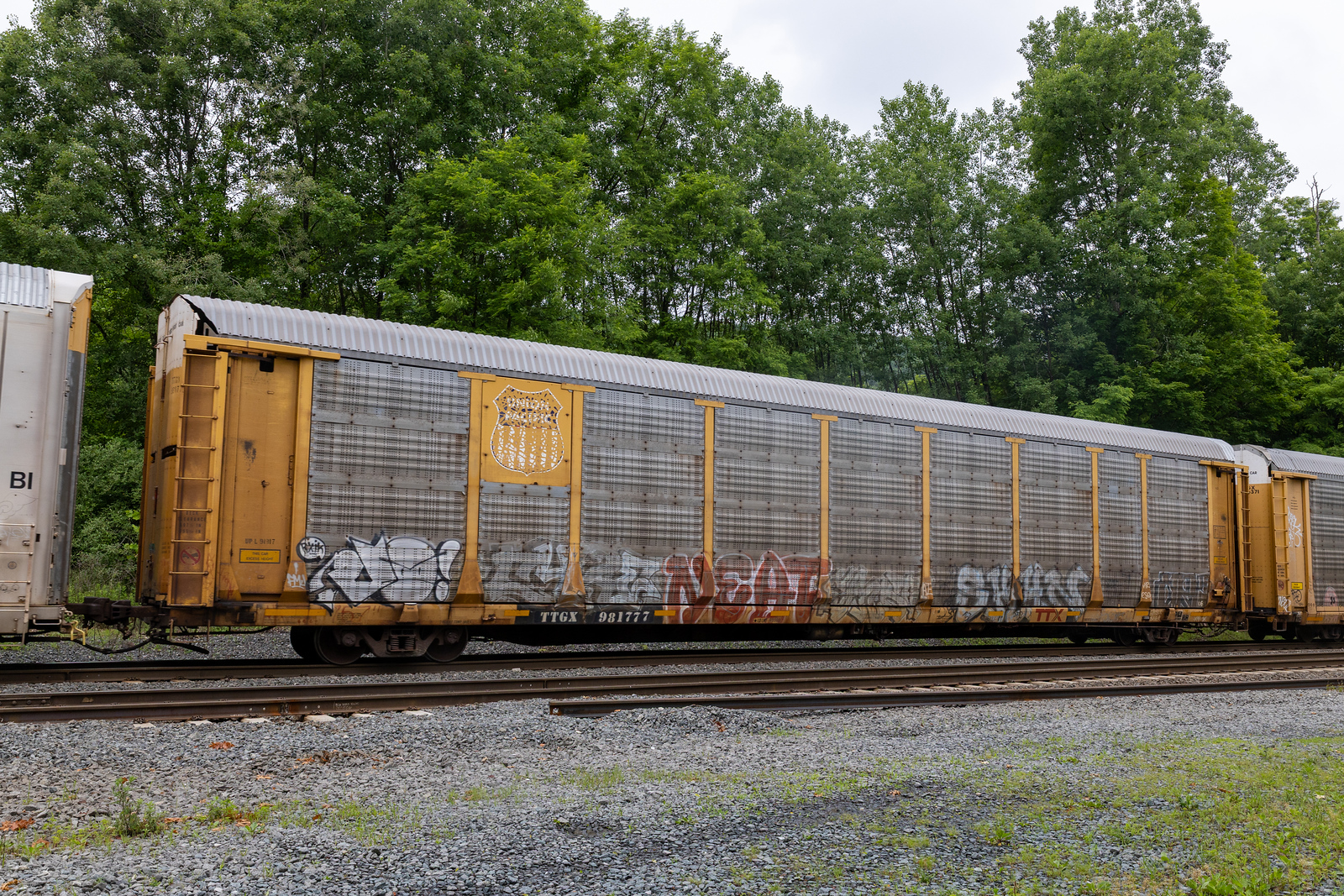 TTGX 981777