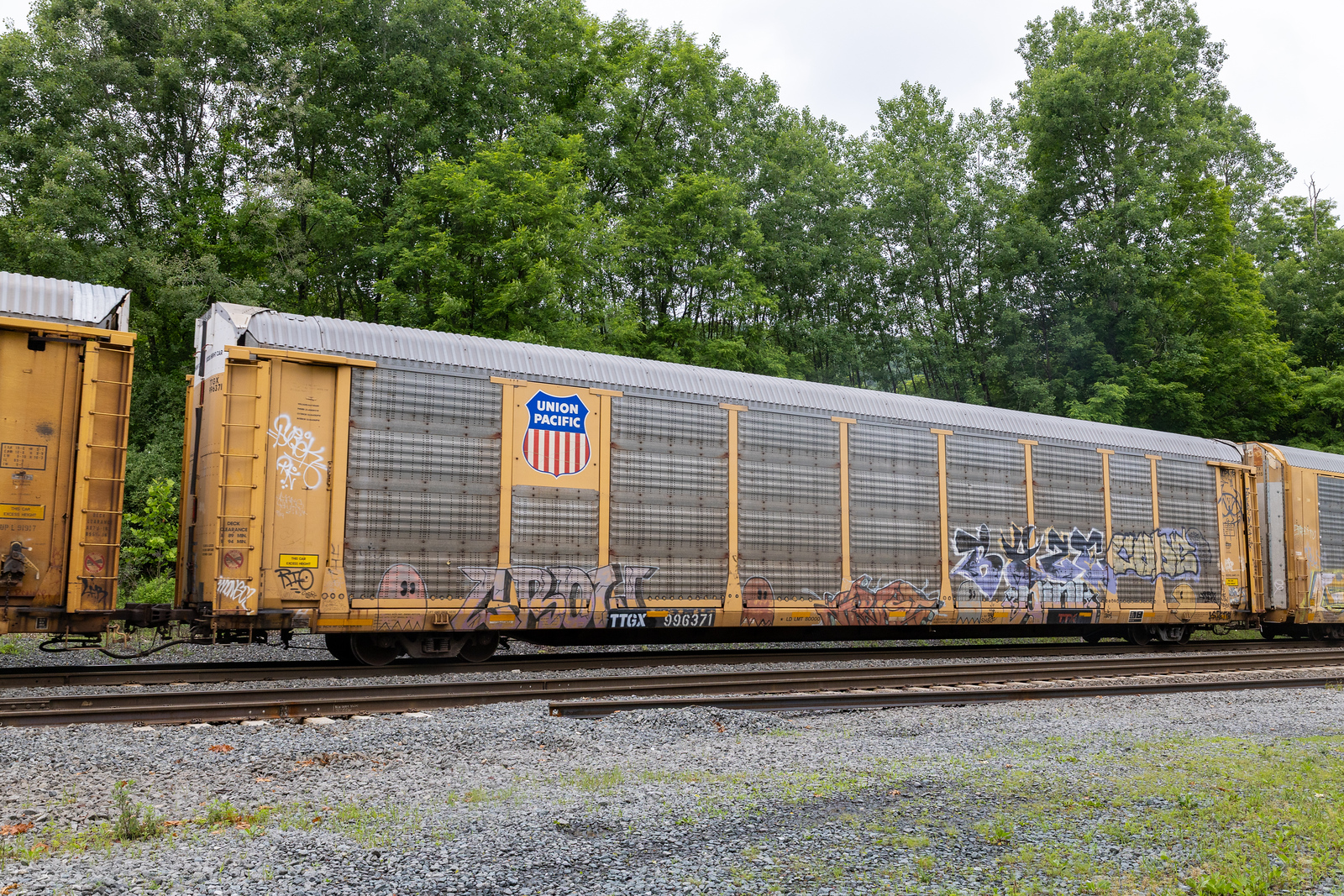 TTGX 996371